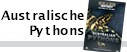 Australian Pythons
