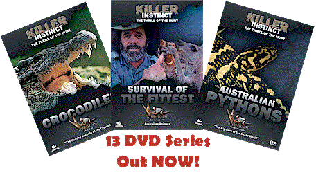 Killer Instinct Promo